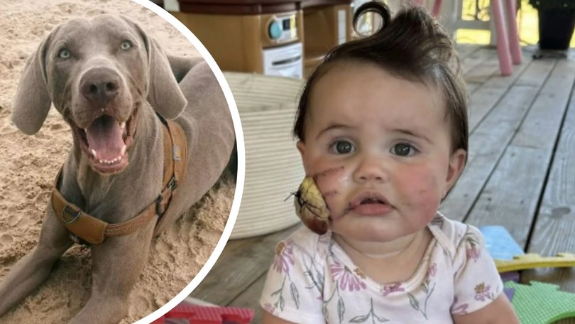 Heather and Nicholas Hariss' daughter, Savannah, was mauled by their pet dog, Remington.