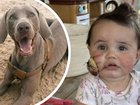 Heather and Nicholas Hariss' daughter, Savannah, was mauled by their pet dog, Remington.