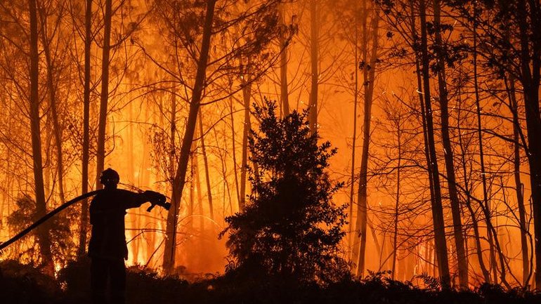 In France, fires have ravaged the Cap Ferret peninsula on the Atlantic coast. (EPA PHOTO)