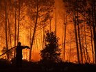 In France, fires have ravaged the Cap Ferret peninsula on the Atlantic coast. (EPA PHOTO)