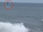 The shark is believed to be a great white.