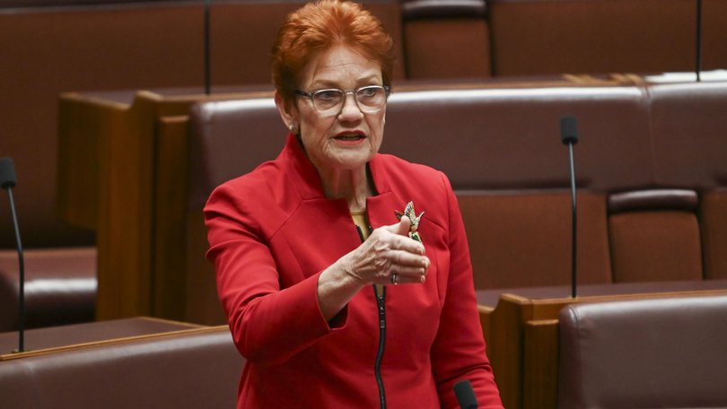Pauline Hanson breached the Racial Discrimination Act when she told Greens senator Mehreen Faruqi to ‘piss off back to Pakistan’. Picture: NewsWire / Martin Ollman