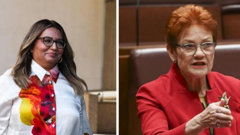 Pauline Hanson has appealed a Federal Court finding against her.