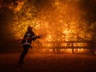 A firefighting crew battles a wildfire spreading in Ares, south-western France.