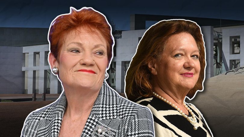 One Nation leader Pauline Hanson travelled to Europe with the help of mining magnate Gina Rinehart. (Susie Dodds/AAP PHOTOS)