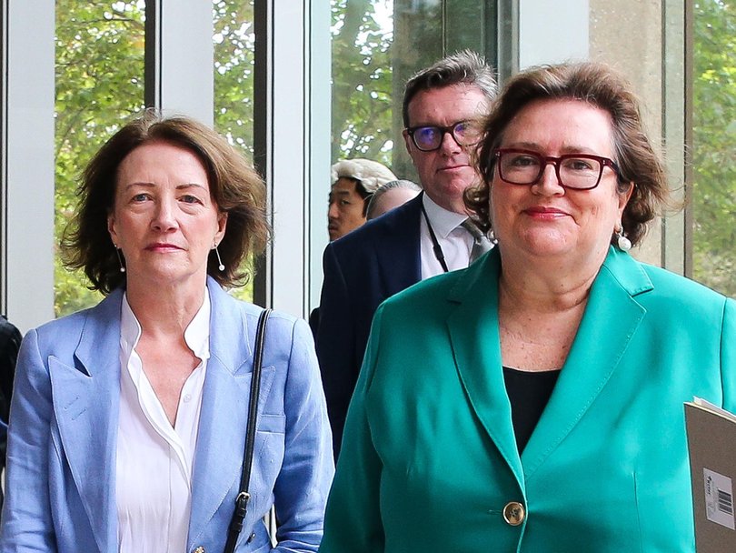The latest Federal Court entry concerning Ms Brown’s (left) case indicates the matter has been marked ‘finalised-resolved’ following a mediation between both parties.
