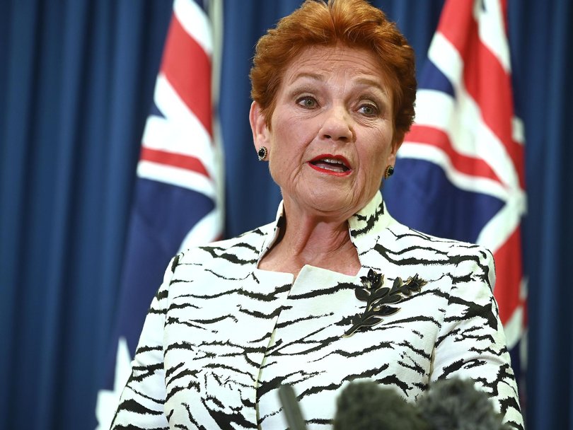 Pauline Hanson revealed details of her vision as she fielded questions directly from voters. 