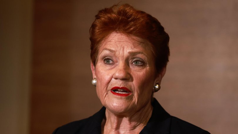 Pauline Hanson has laid out the key priorities she says would define the first 100 days of a One Nation government if the minor party were to win the 2028 federal election. 