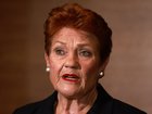Pauline Hanson has laid out the key priorities she says would define the first 100 days of a One Nation government if the minor party were to win the 2028 federal election. 