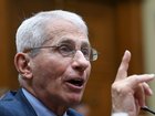 At a hearing on COVID-19, former infectious-disease official Anthony S. Fauci said he would avoid answering contentious questions.