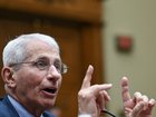 Anthony S. Fauci testifies at a House hearing in Washington on June 3, 2024. (Matt McClain/The Washington Post)