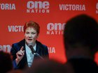One Nation leader Pauline Hanson is proposing a suite of new terror laws. 