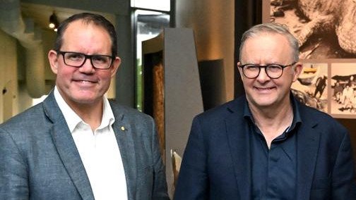 Anthony Albanese is under pressure to stand down Luke Gosling (left) over assault allegations.