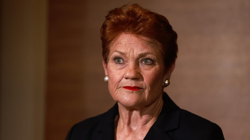AFP have made no findings against Senator Hanson over the claims. Picture: NewsWire/Philip Gostelow