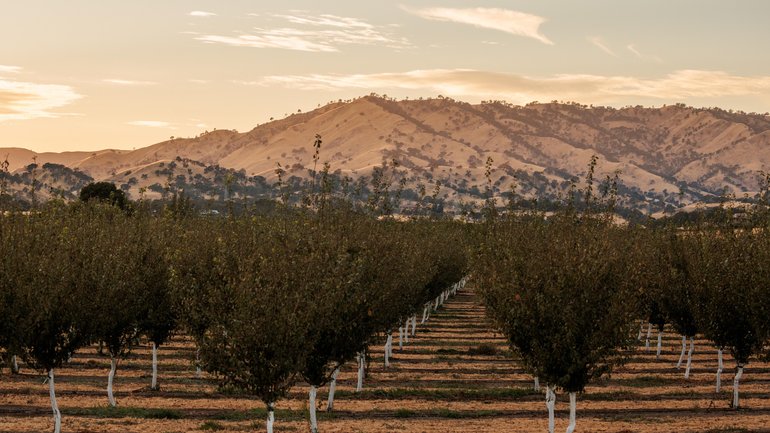 A gorgeous sunset from the Berryessa Gap Winery in Winters, California.