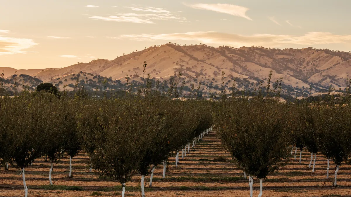 Visit Napa Valley, California: Where to visit, eat, drink in one of Americas great food and wine regions