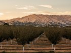 A gorgeous sunset from the Berryessa Gap Winery in Winters, California.