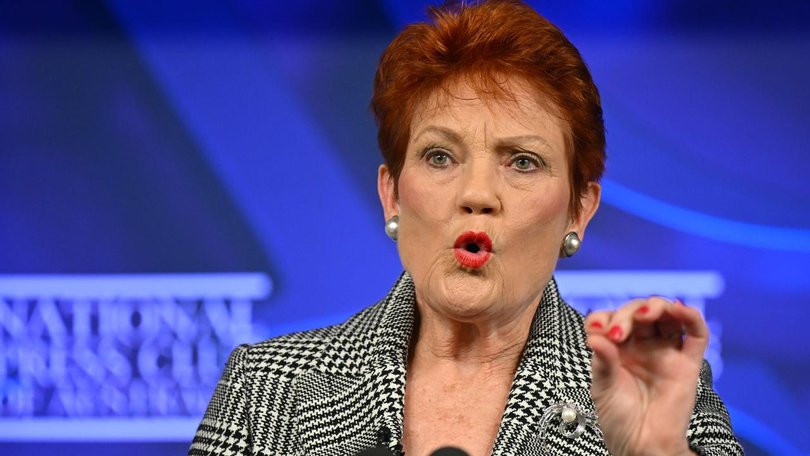 One Nation has unveiled the party’s first tranche of candidates for the Victorian election, with leader Pauline Hanson taking aim at ‘toxic’ Labor.