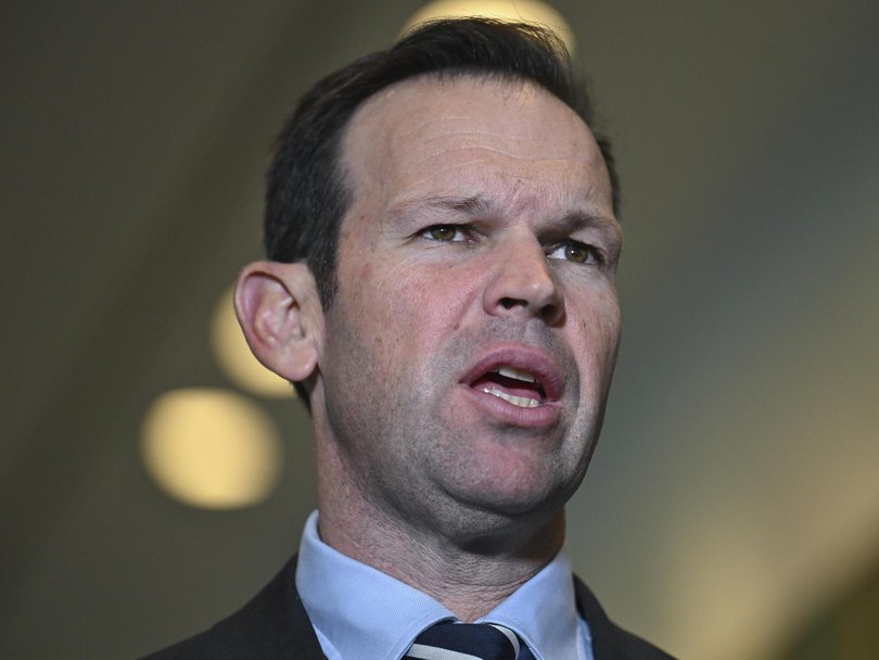 National Party leader Matt Canavan says falling prices discourage owners from selling and hurts first-home buyers. Picture: NewsWire / Martin Ollman.