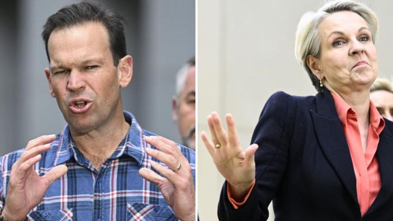 Social Services Minister Tanya Plibersek told Nationals leader Matt Canavan to calm down over falling house prices.