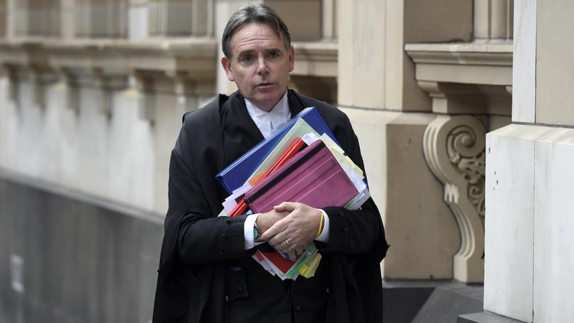 Defence barrister Dermot Dann KC is representing the man.