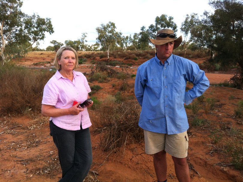 David Pollock at Wooleen Station.