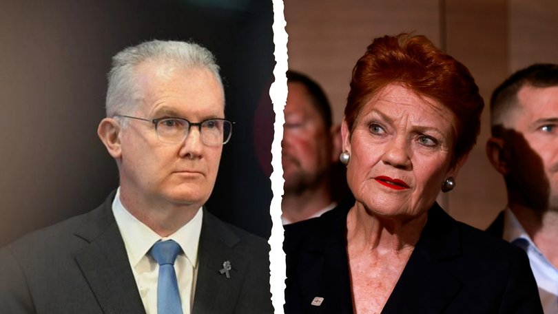 Pauline Hanson has seized on Tony Burke’s delayed immigration speech, accusing Labor of bowing to internal pressure as she vows to crack down on migration.