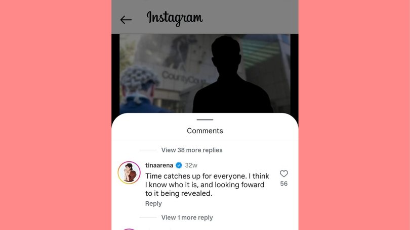 Tina Arena’s comment on a December Instagram post as Carr’s case went through the courts.