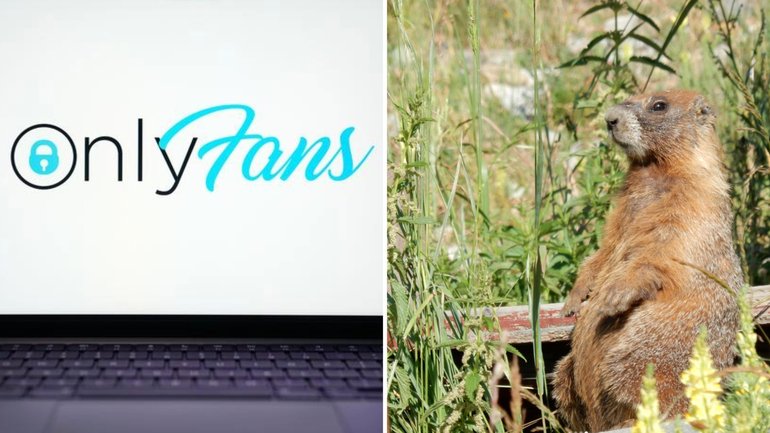 OnlyMarms is documenting a species of squirrel to help fund research.