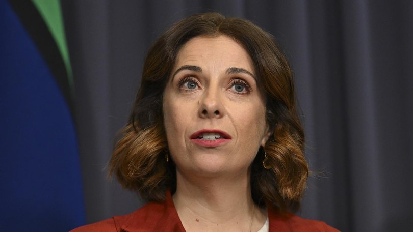 Communications Minister Anika Wells said the reforms are ‘some ways off’ being abandoned altogether, saying it was normal for there to be pushback to the changes.