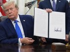 Limiting birthright citizenship has been one of the top priorities in Donald Trump's administration. 