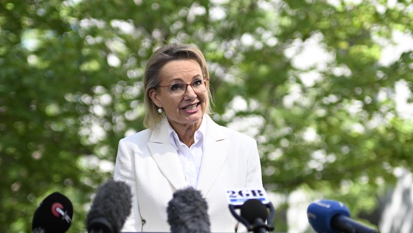 Sussan Ley stepped down as Liberal leader in February. 