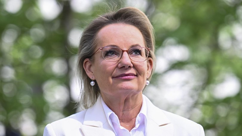 Sussan Ley has broken her silence on life post-leadership spill. 