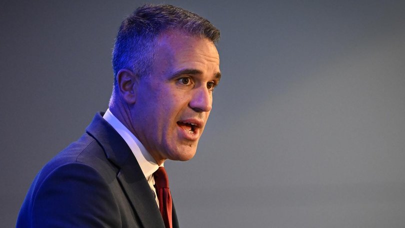 Premier Peter Malinauskas says SA's government will lead AI opportunities with ‘ambition and care’. 