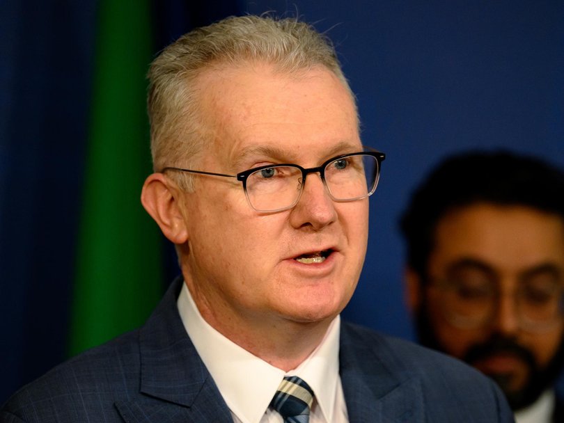 Pauline Hanson says Home Affairs Minister Tony Burke plans to bring in “a million more migrants” into Australia. Picture: NewsWire / George Chan
