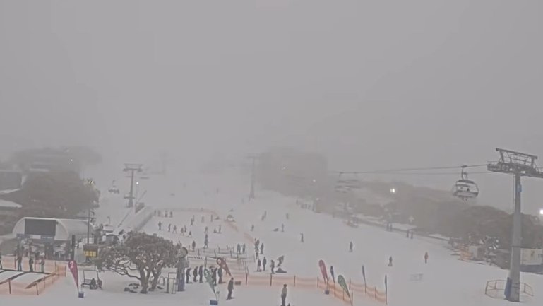 Fog at Mount Buller just two hours after a man died after being a car was crushed by a tree