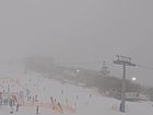 Fog at Mount Buller just two hours after a man died after being a car was crushed by a tree