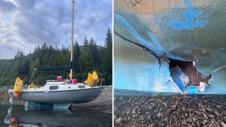 A humpback whale struck the boat in the middle of the night and it sank.