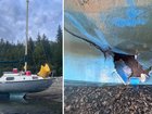 A humpback whale struck the boat in the middle of the night and it sank.