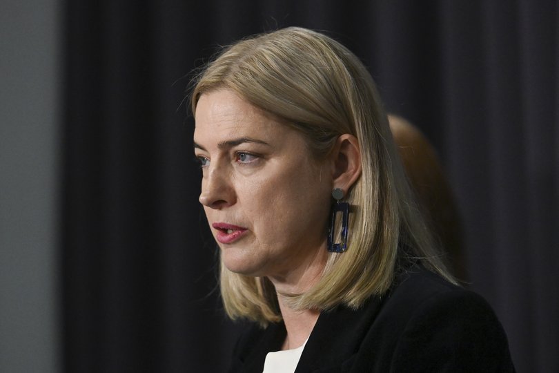 Minister for Agriculture, Fisheries and Forestry Julie Collins holds a press conference in the Blue Room at Australian Parliament House in Canberra to provide an update on bird flu. Picture: NewsWire / Martin Ollman.