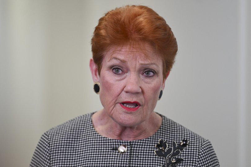 One Nation Leader Senator Pauline Hanson made the comments at a doorstop press conference at Australian Parliament House in Canberra. 