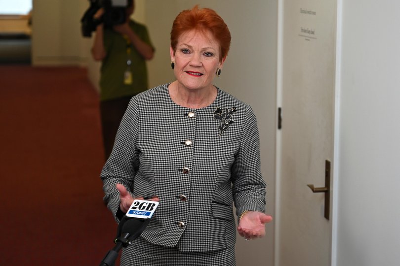 Pauline Hanson's One Nation Leader Senator Pauline Hanson holds a doorstop press conference.