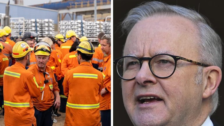 Anthony Albanese and NSW Premier Chris Minns have signed a bailout agreement for the Tomago aluminium smelter.