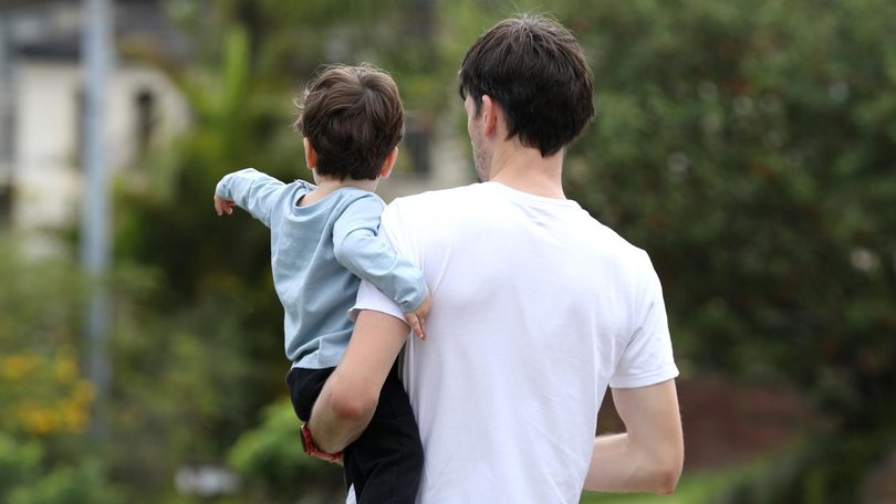 The Nationals' envoy for men and boys wants expanded parental leave entitlements for fathers. 