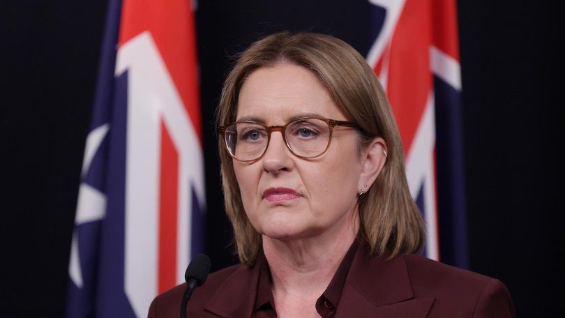 Former premier Jacinta Allan has announced she will not contest the Victorian November election. NewsWire/ David Crosling