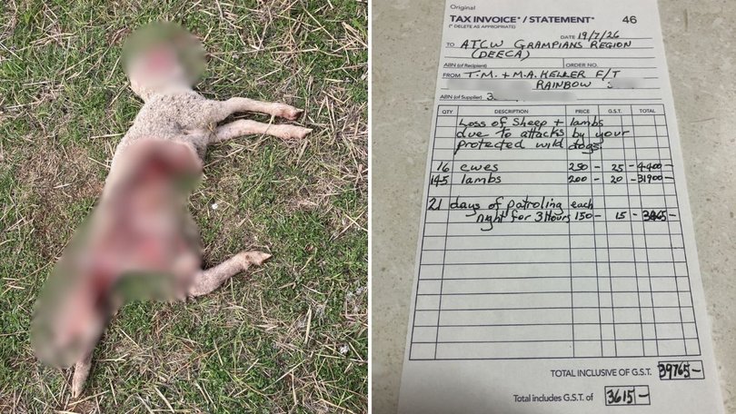 A farmer in northwest Victoria has invoiced the state government $40,000 over sheep killed by dingoes or wild dogs on his property.