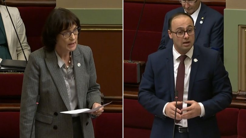 Member for the Eastern Victoria Region Melina Bath questioned Victorian Environment Minister Enver Erdogan over impact of dingoes on livestock farmers in northwest Victoria.