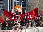 A One Nation staffer has been accused of impersonating a progressive social media page at the anti-Pauline Hanson rallies.