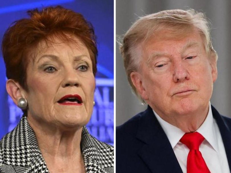 The Labor minister said the One Nation’s idea was akin to one Trump would implement.