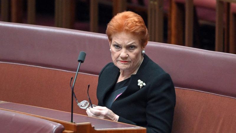 One Nation Leader Pauline Hanson says she does not support Sydney's Gay and Lesbian Mardi Gras.